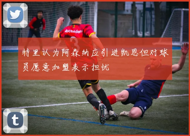 特里认为阿森纳应引进凯恩但对球员愿意加盟表示担忧
