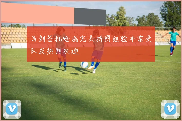 马刺签托哈成完美拼图经验丰富受队友热烈欢迎